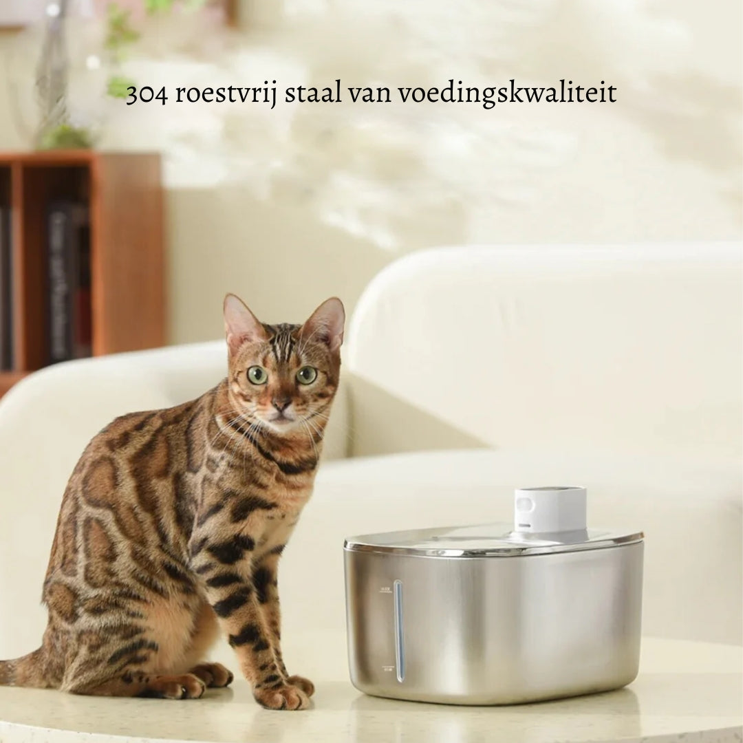 KattBrunn – Tyst och trådlös fontän för friskt vatten
