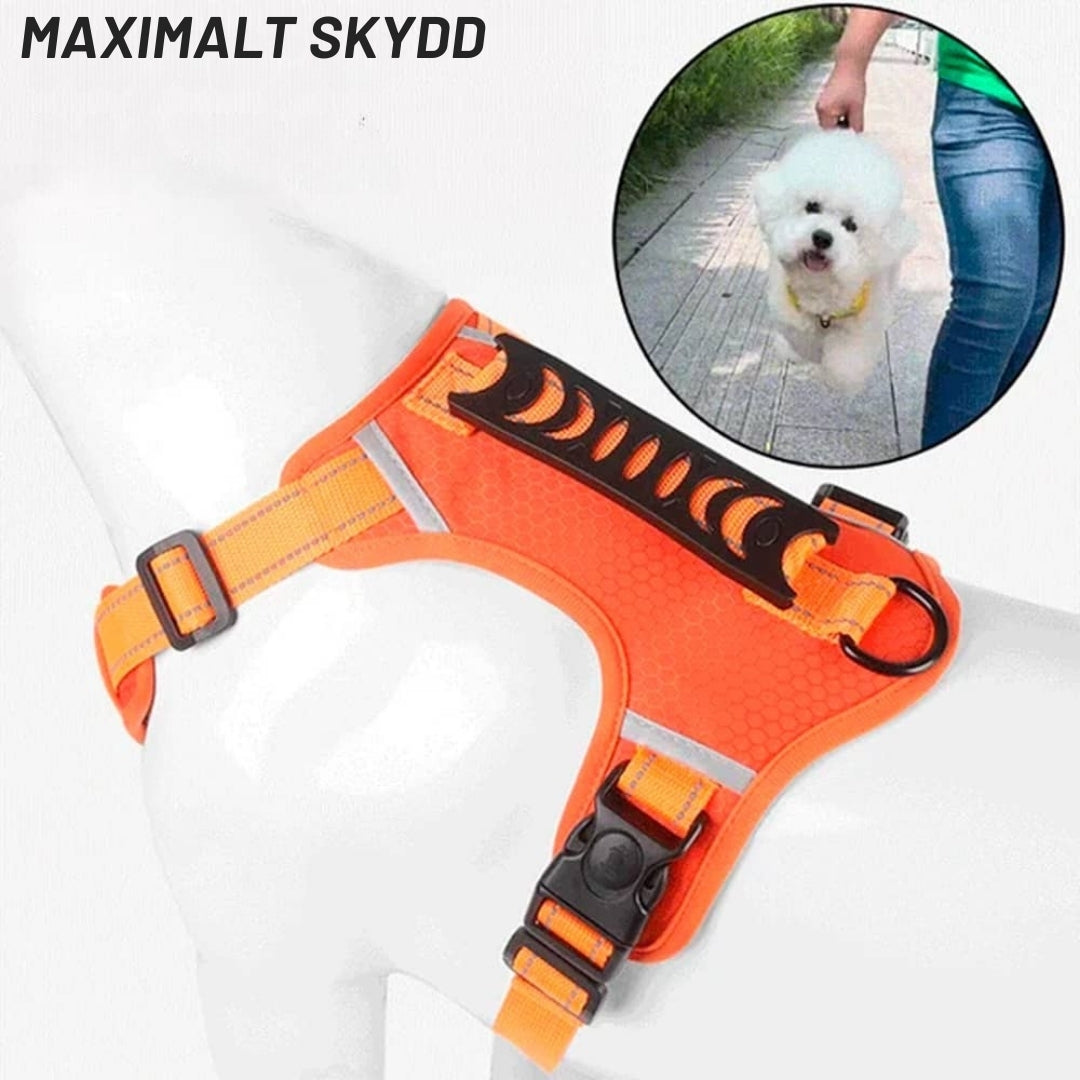 TassSkydd – Komfort & Kontroll för Varje Promenad med Din Hund