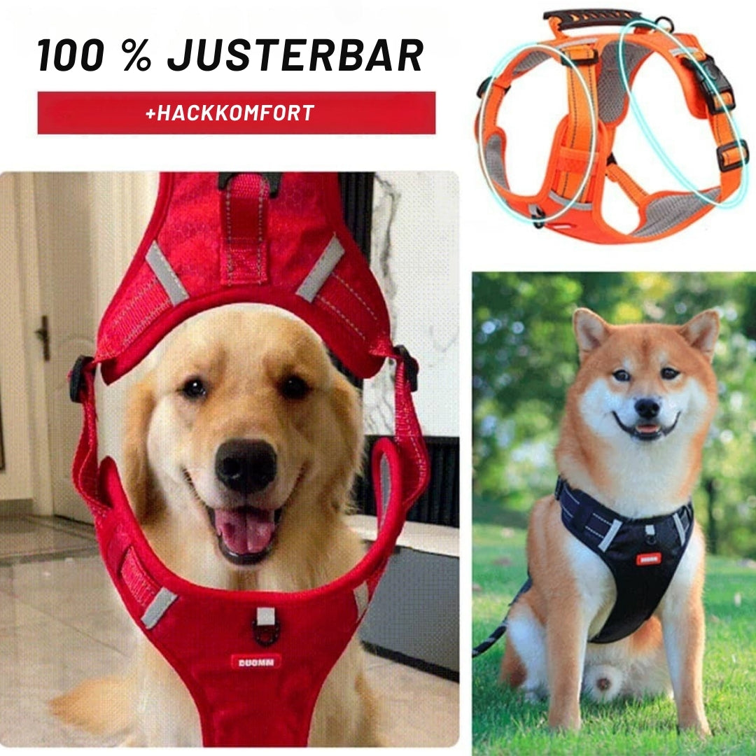 TassSkydd – Komfort & Kontroll för Varje Promenad med Din Hund