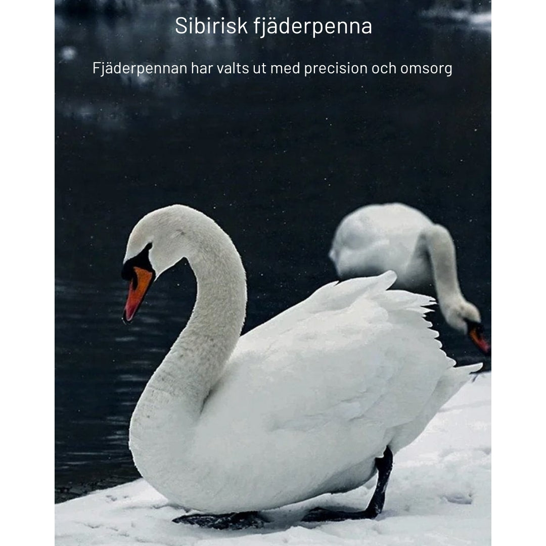 MolnKudde – Din Bästa Sovpartner Varje Natt