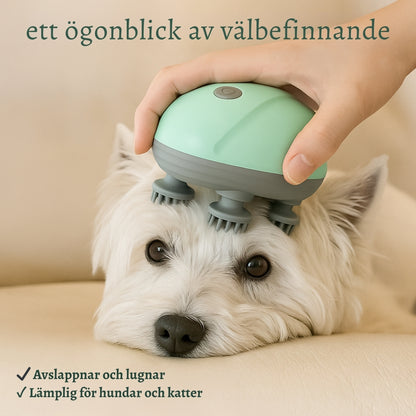 LugnPäls Massage – Nyckeln till ett lyckligare husdjur